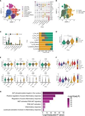 Improvement of PD-1 Blockade Efficacy and Elimination of Immune-Related Gastrointestinal Adverse Effect by mTOR Inhibitor